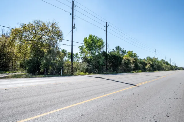 a view of a dry yard