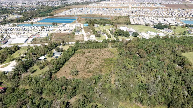 a view of a yard of the plants and large trees