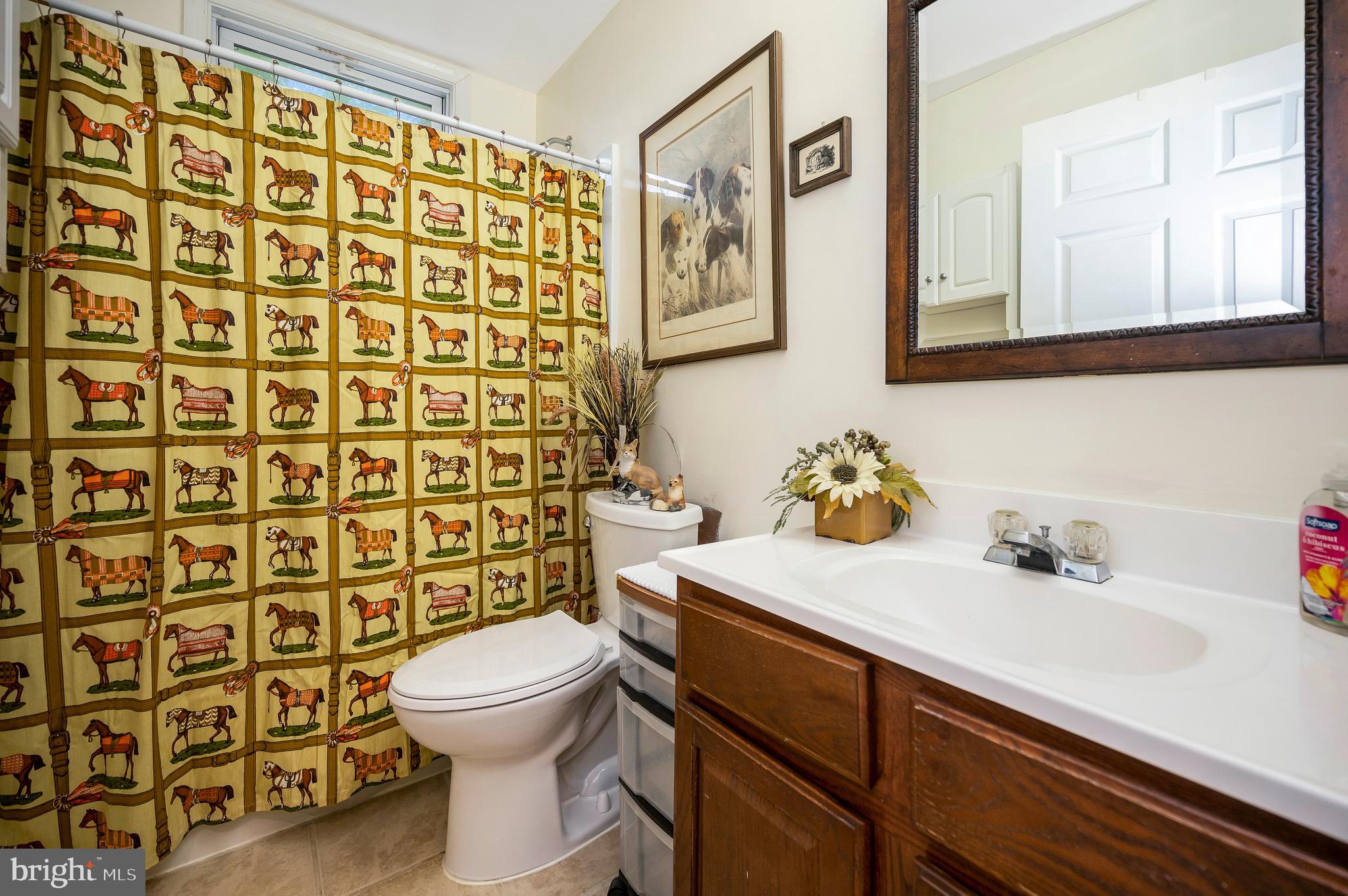 14 Apache Terrace Fredericksburg, VA 22401 - Photo 30 of 38 a bathroom with a sink a toilet and shower curtain