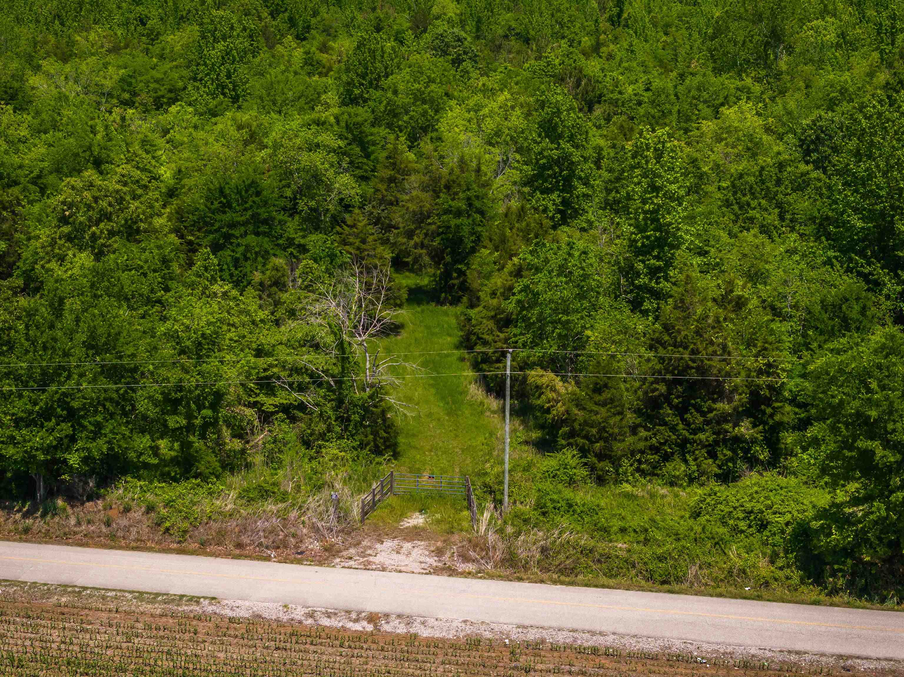 2340 Center Hill Road Finger, TN 38334 - Photo 19 of 21 a view of a yard