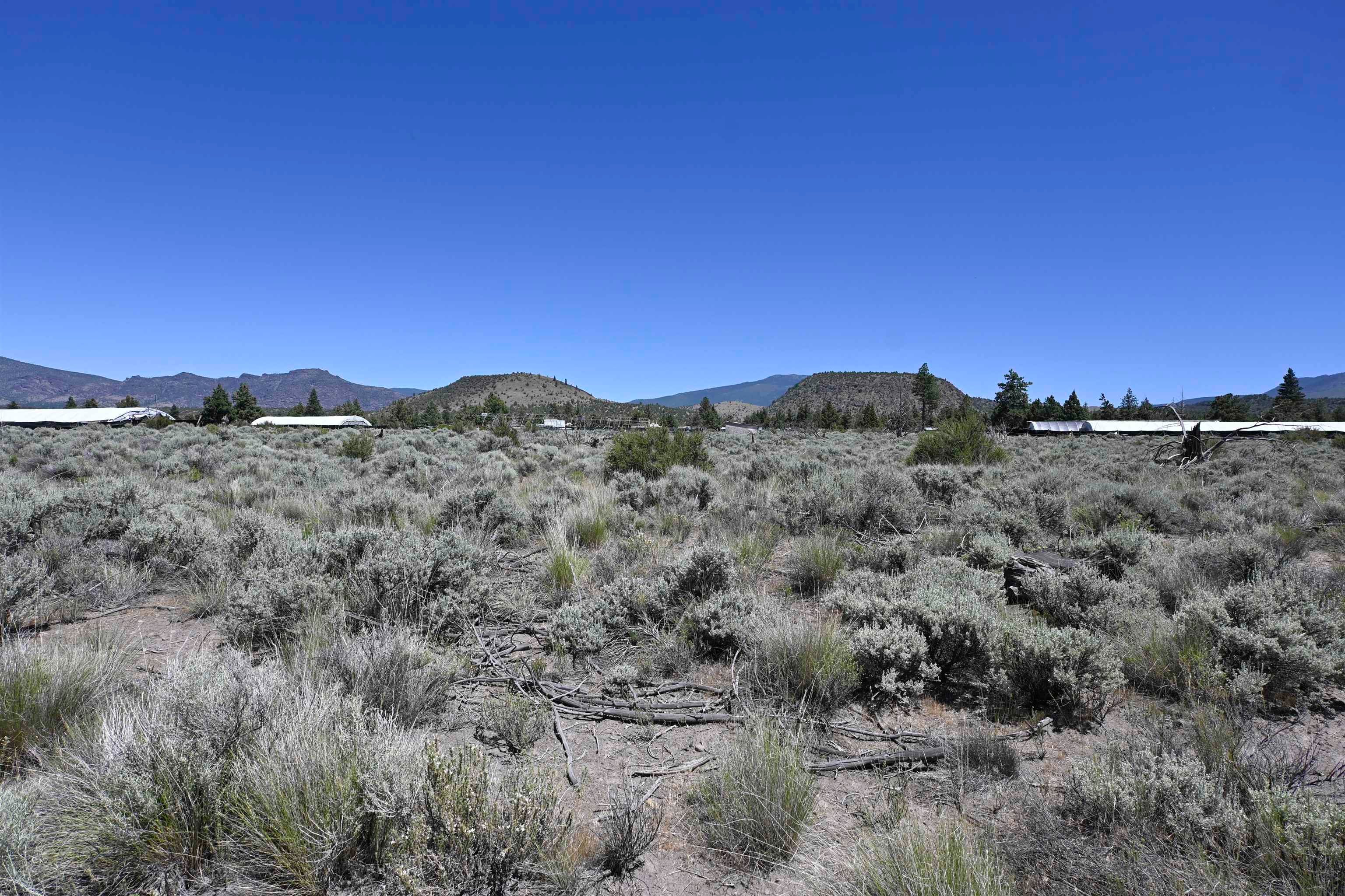 Lot 10 Timber Road Montague, CA 96064 - Photo 9 of 13 Gallery Image 9