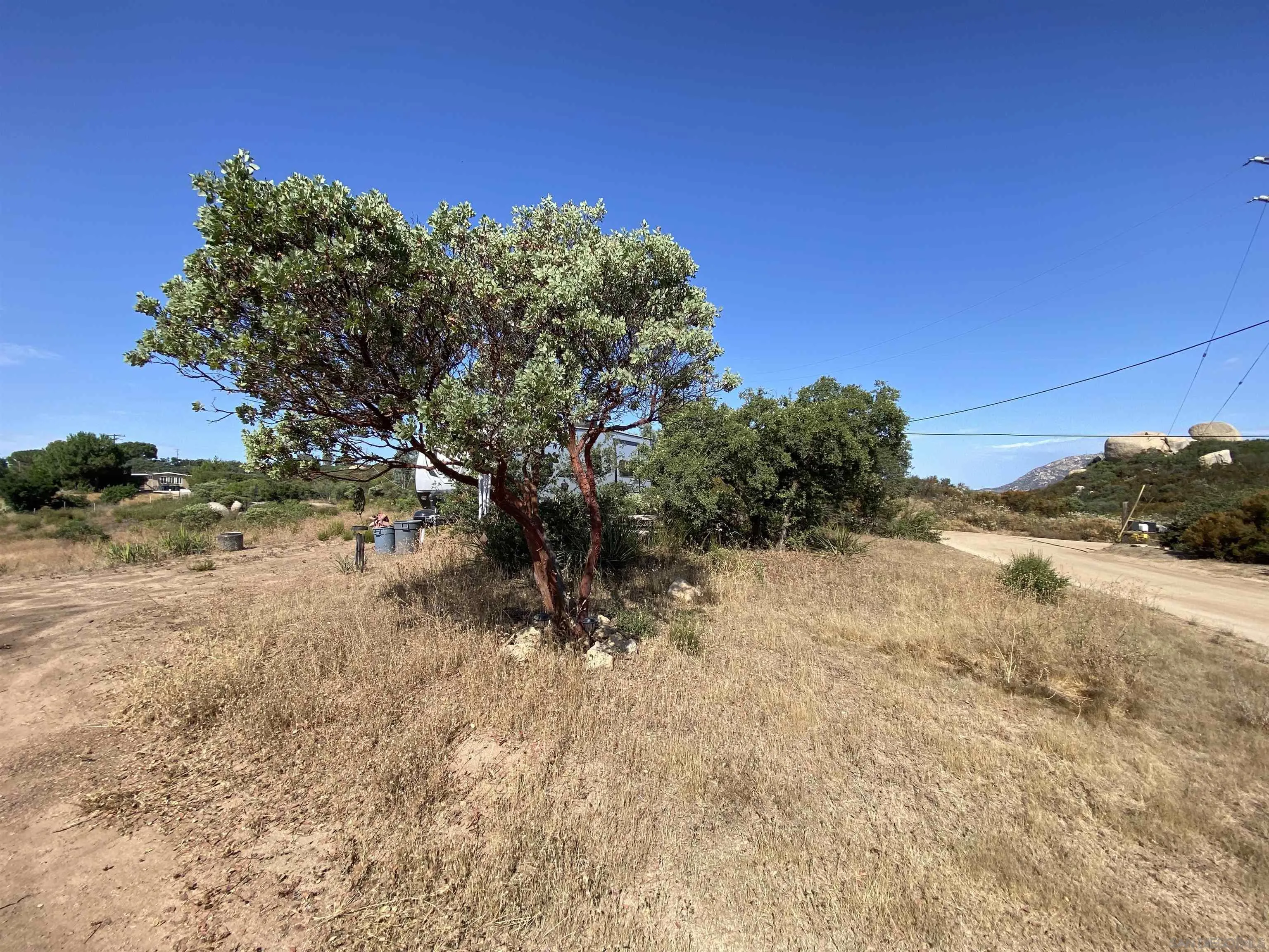 0 Mother Grundy Drive Jamul, CA 91935 - Photo 5 of 12 a view of a dry yard with trees