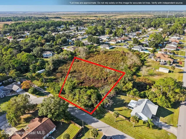 an outdoor view of a garden