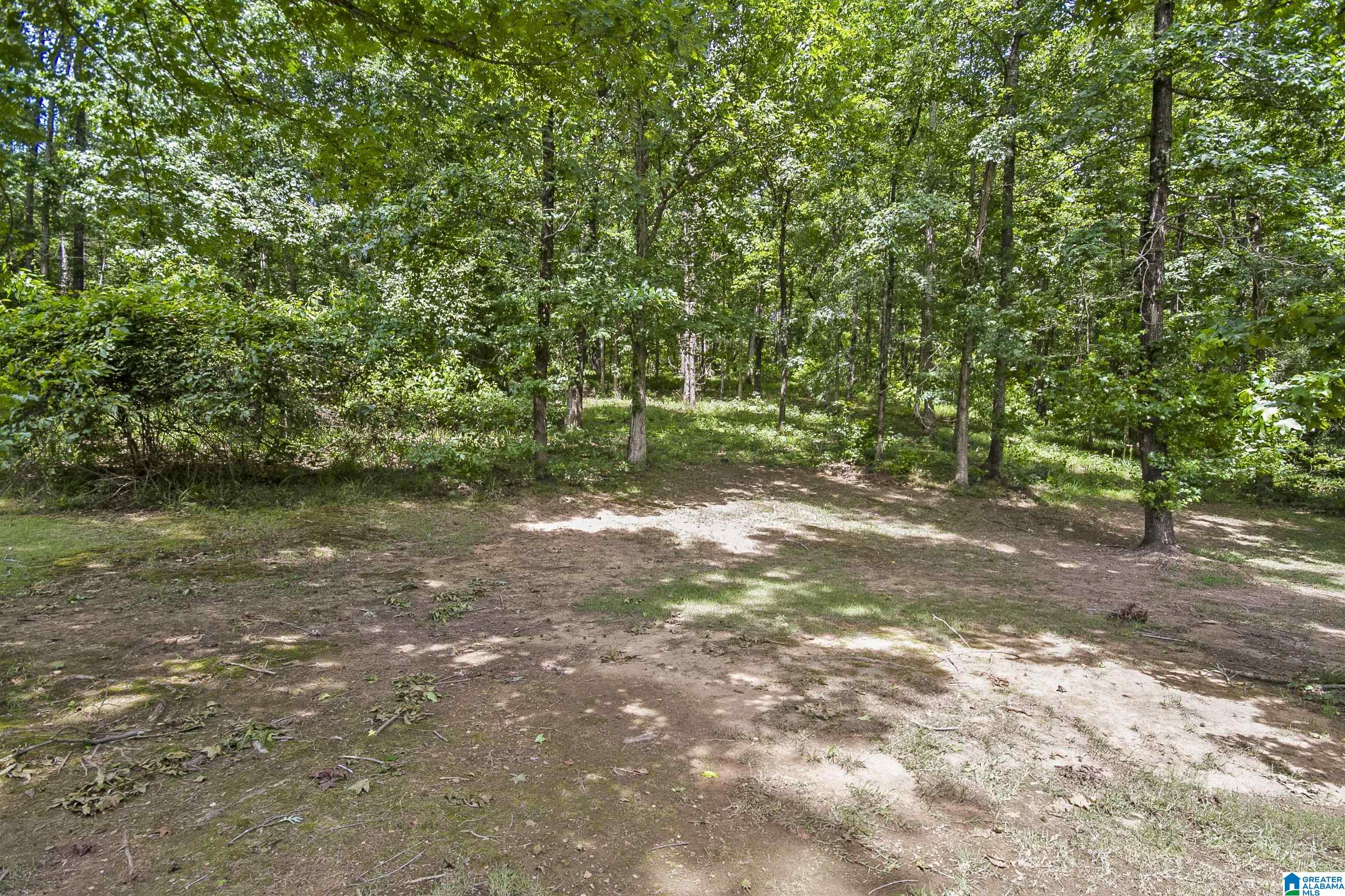 3531 Windy Ridge Tuscaloosa, AL 35406 - Photo 59 of 60