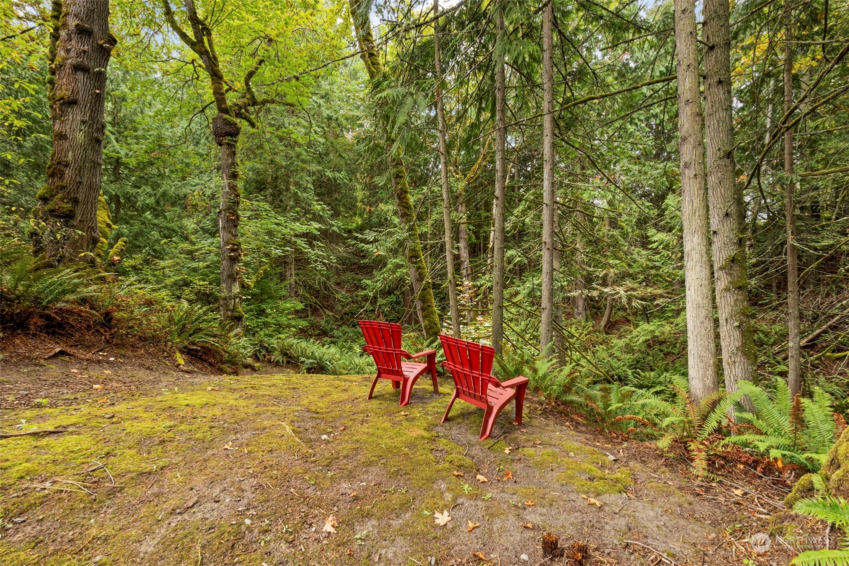 101 Rue Lavande Lane Sequim, WA 98382 - Photo 38 of 40 Gallery Image 38