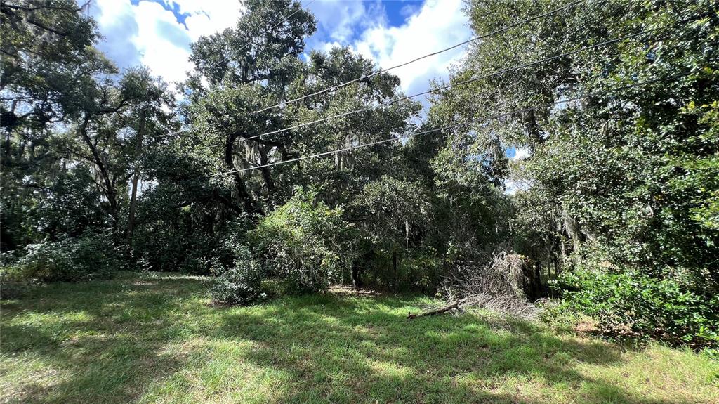 0 Rifle Range Road Winter Haven, FL 33880 - Photo 1 of 1 Gallery Image 1