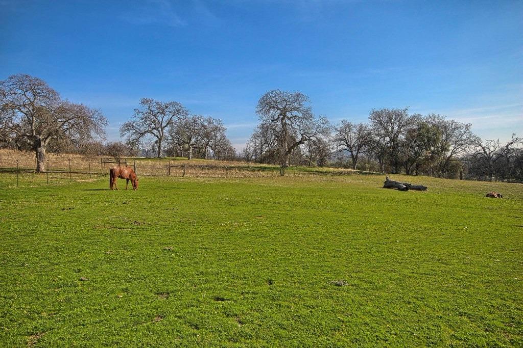 36017 Franklin Road Coarsegold, CA 93614 - Photo 29 of 35 Gallery Image 29