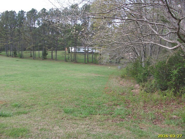 1325 Hawkins Road Woodland, GA 31836 - Photo 6 of 22