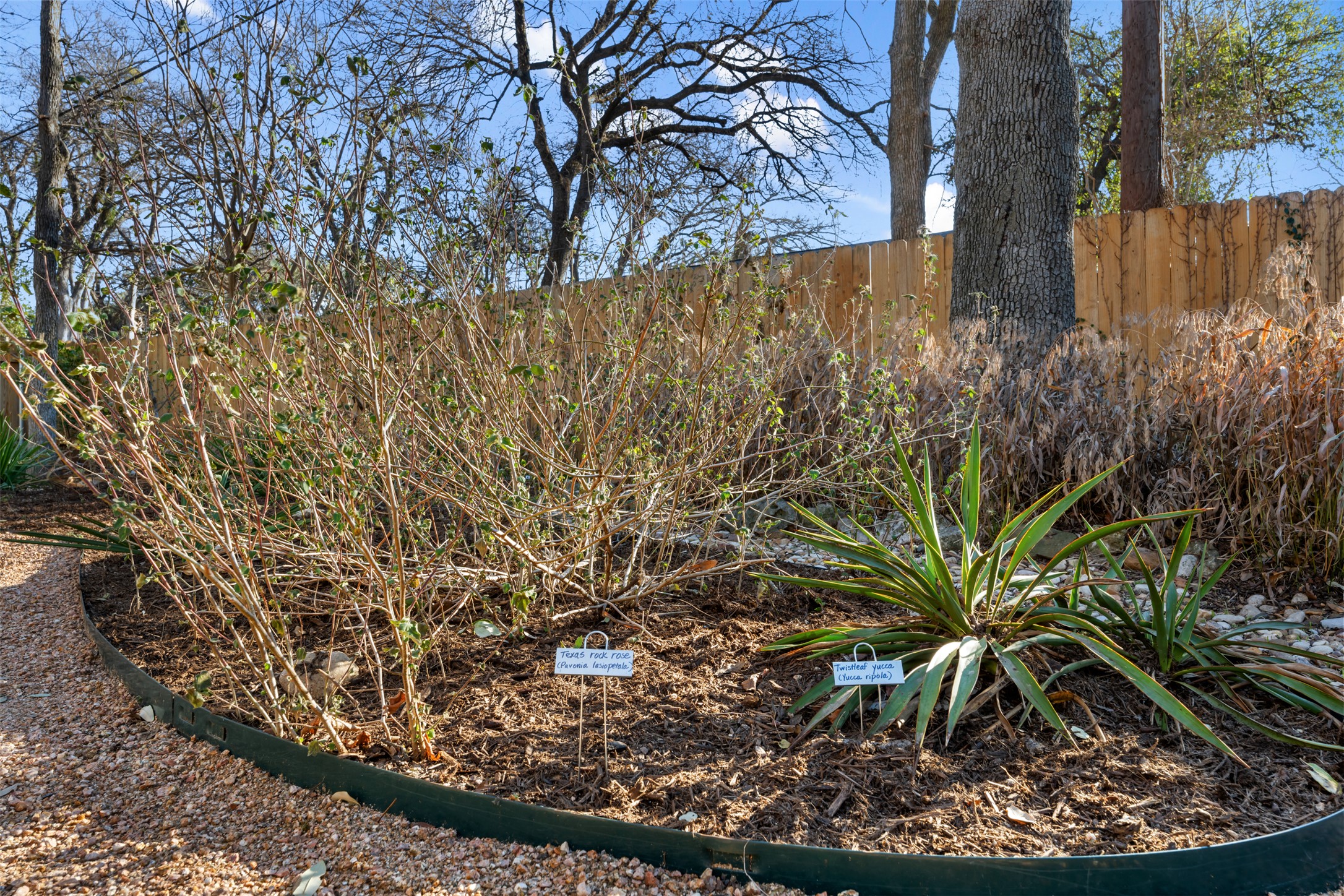 11318 Alhambra Drive Austin, TX 78759 - Photo 32 of 40