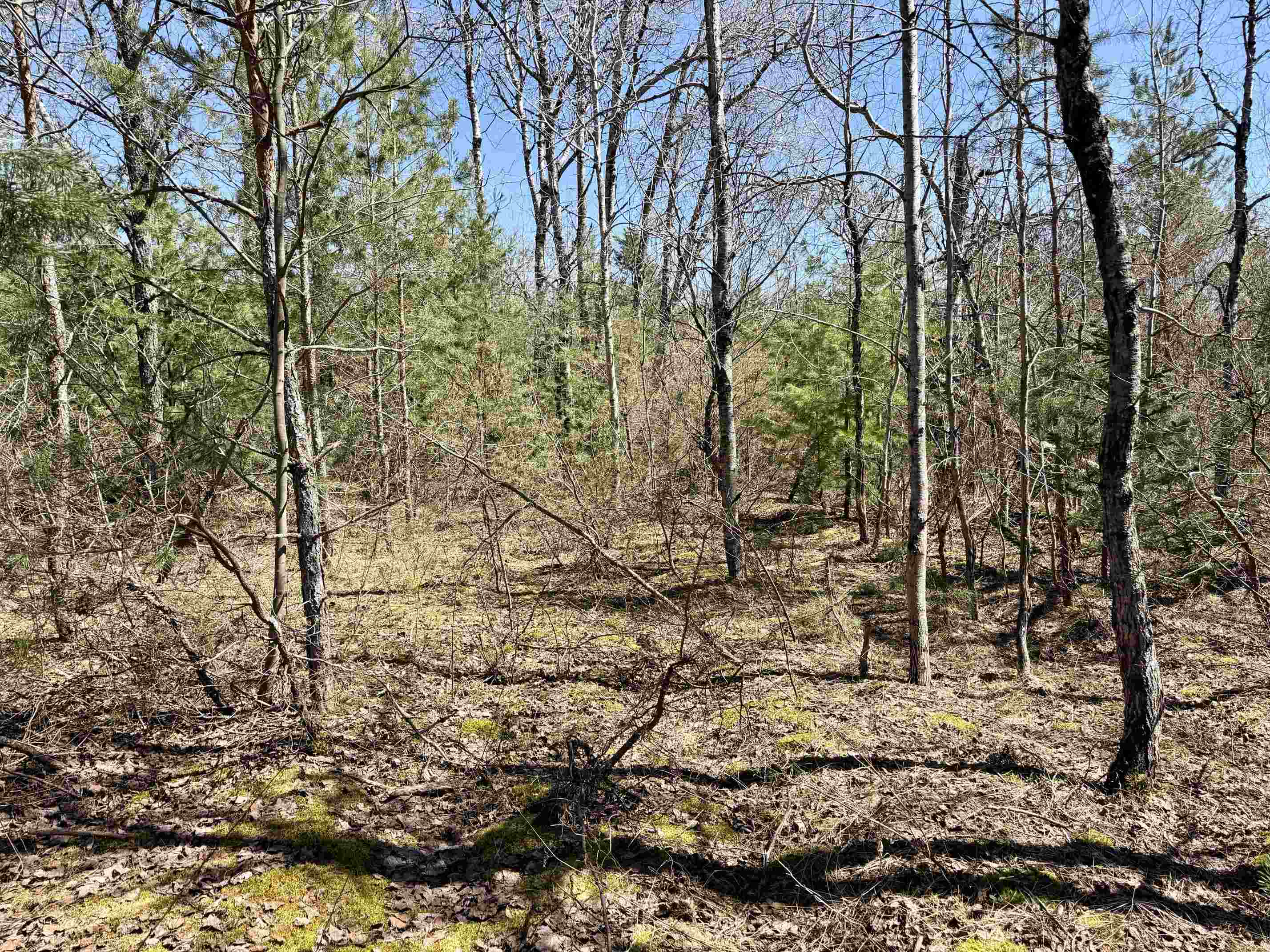 V/l Johnson Road Mancelona, MI 49659 - Photo 10 of 23 Gallery Image 10