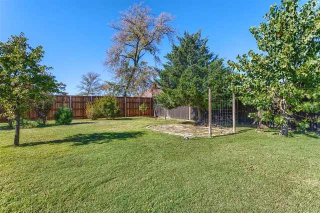 a view of a park with large trees