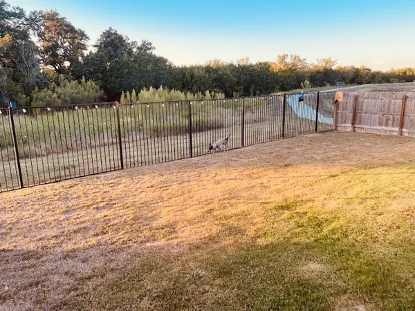 a view of a backyard with a fence