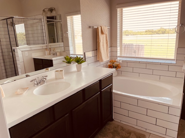 1925 Waterfall Avenue Leander, TX 78641 - Photo 10 of 17 a bathroom with a bathtub sink and a mirror