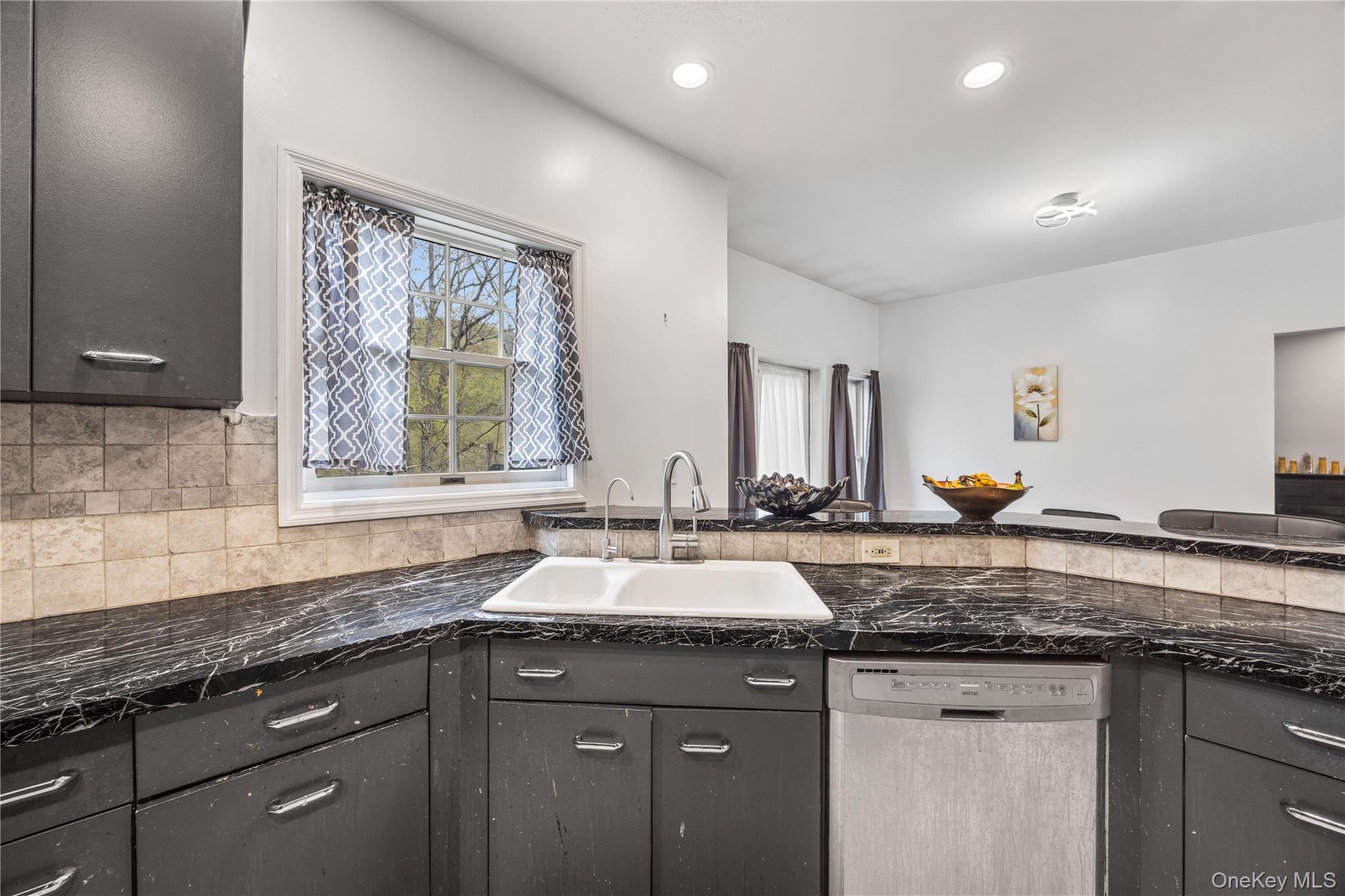 3 Miller Road Putnam Valley, NY 10579 - Photo 14 of 48 Kitchen featuring dark cabinetry, speckled countertops, stainless steel sink with a single-handle faucet, and a stainless steel dishwasher