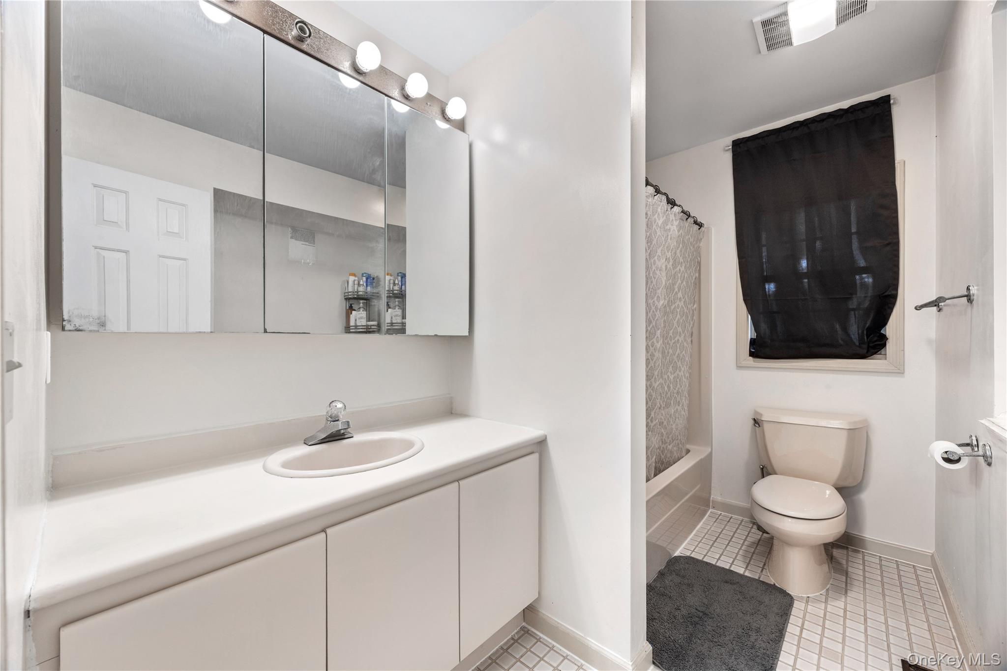 3 Miller Road Putnam Valley, NY 10579 - Photo 22 of 48 Bathroom featuring a vanity with integrated sink, wall-mounted mirror cabinet, and overhead vanity lighting