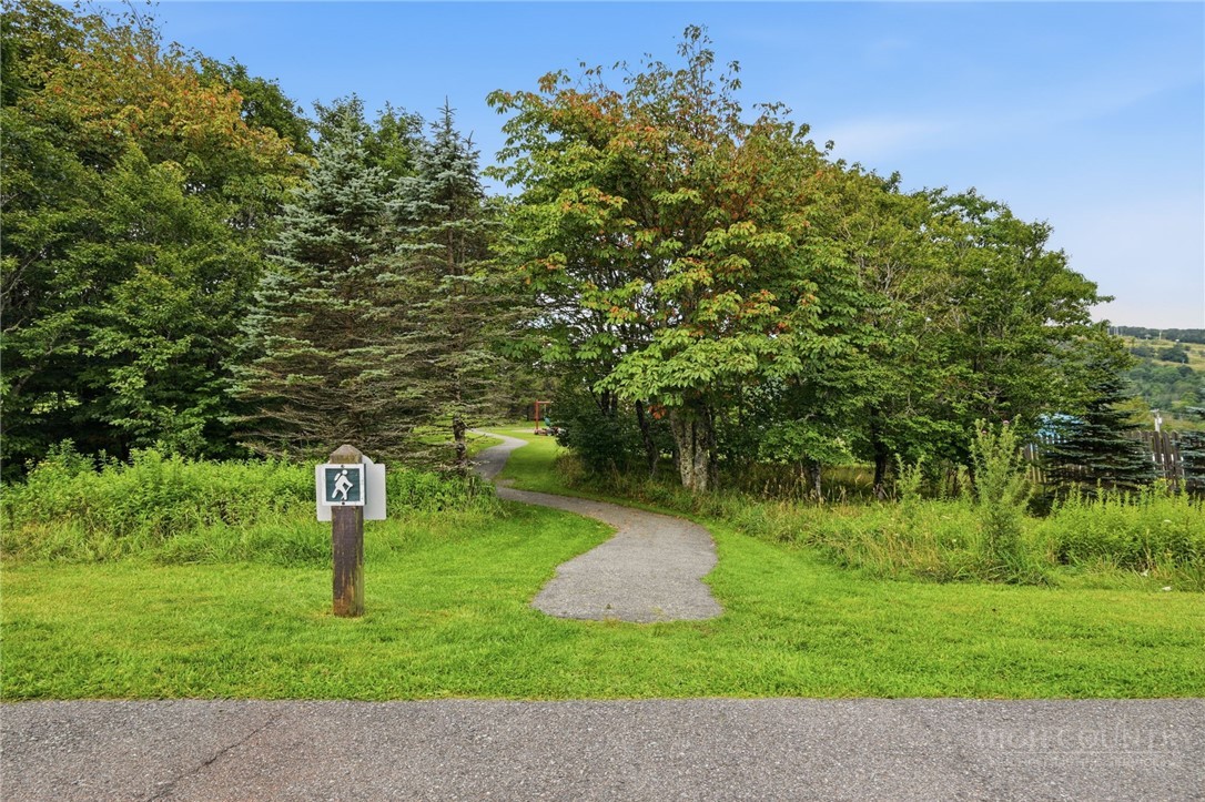 301 Pinnacle Inn Road, Unit 2116 Beech Mountain, NC 28604 - Photo 27 of 49 Gallery Image 27