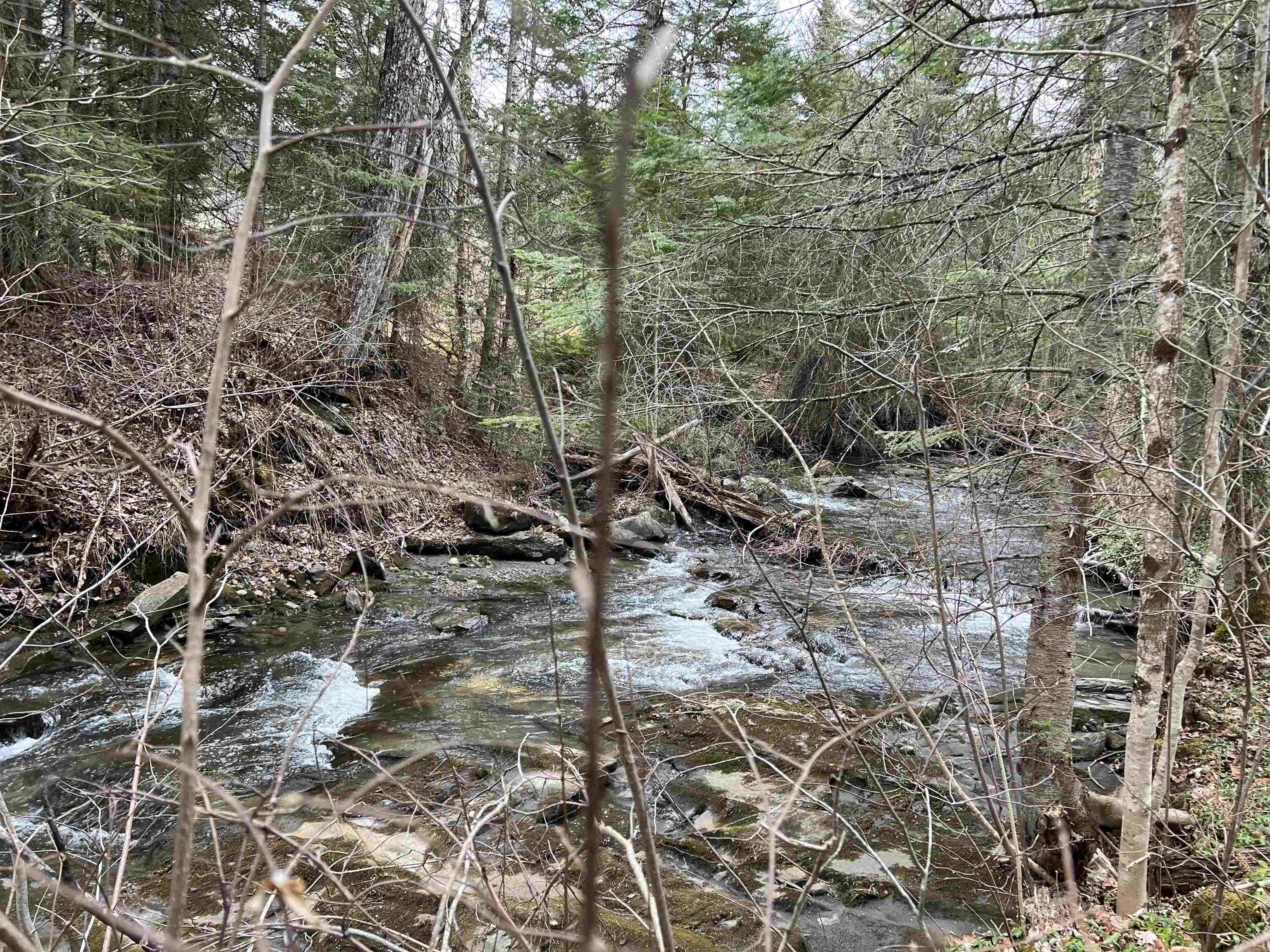 0 Cabot Road, Unit 1 Hardwick, VT 05843 - Photo 12 of 22