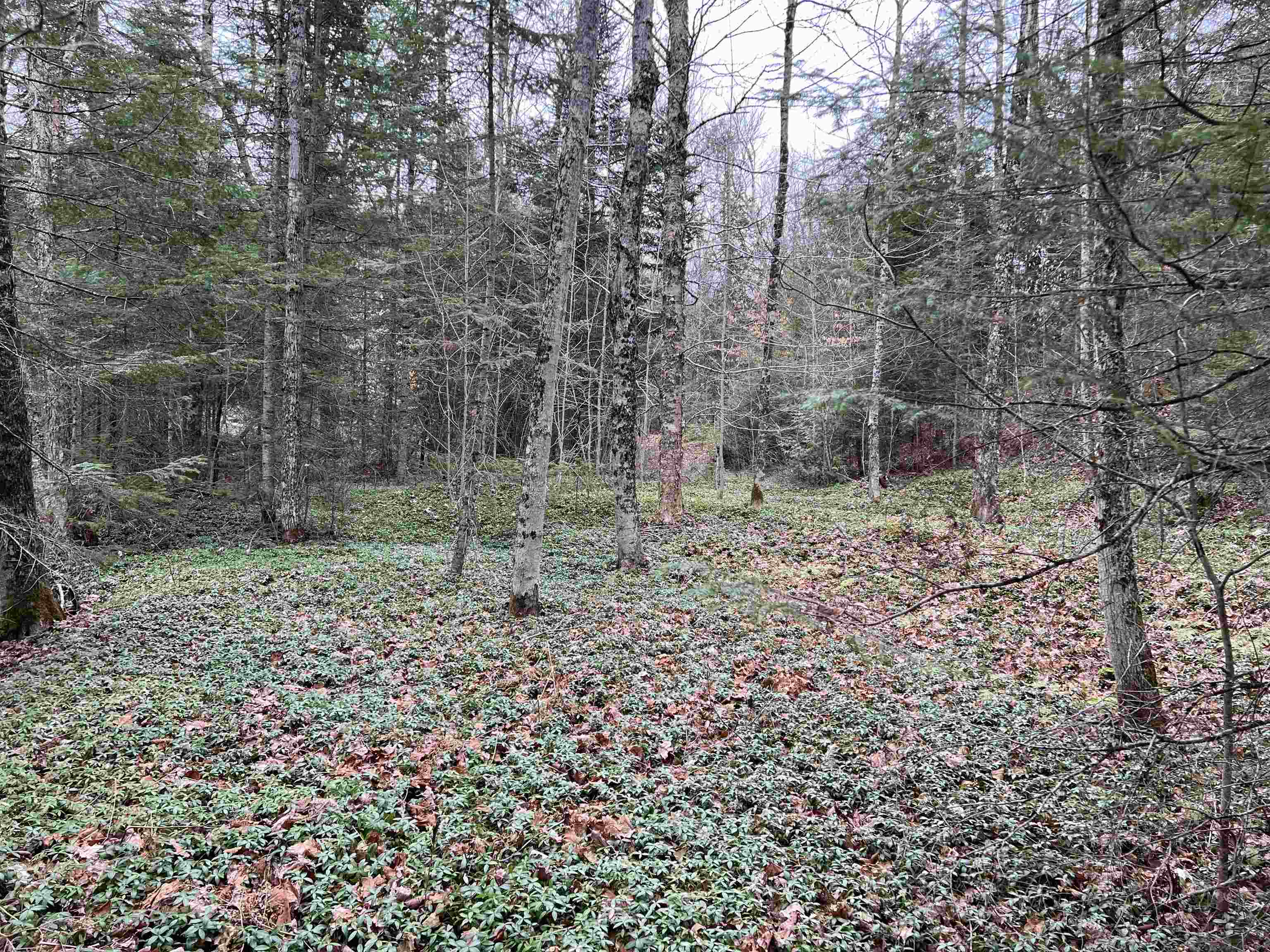 0 Cabot Road, Unit 1 Hardwick, VT 05843 - Photo 13 of 22