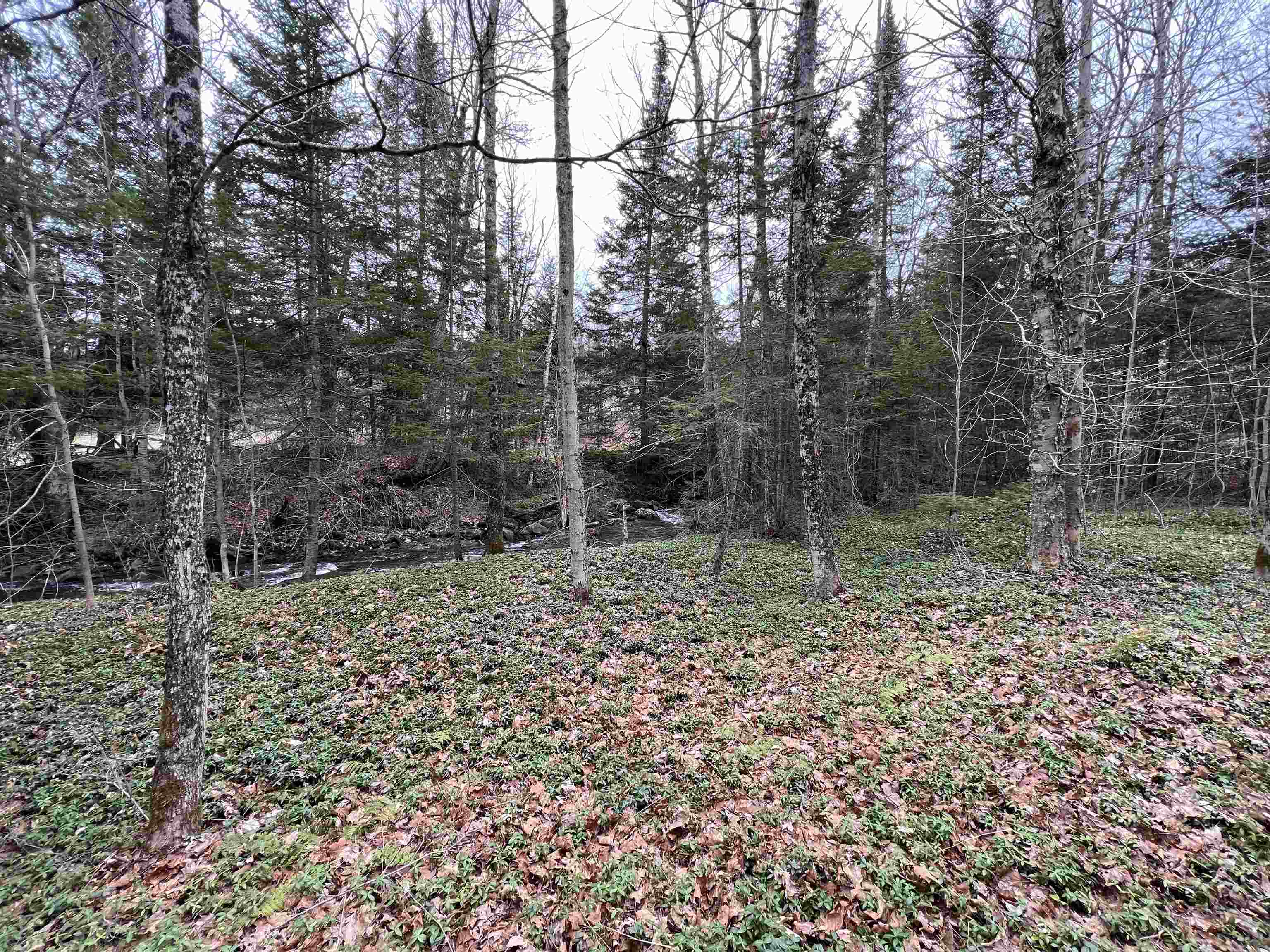 0 Cabot Road, Unit 1 Hardwick, VT 05843 - Photo 14 of 22