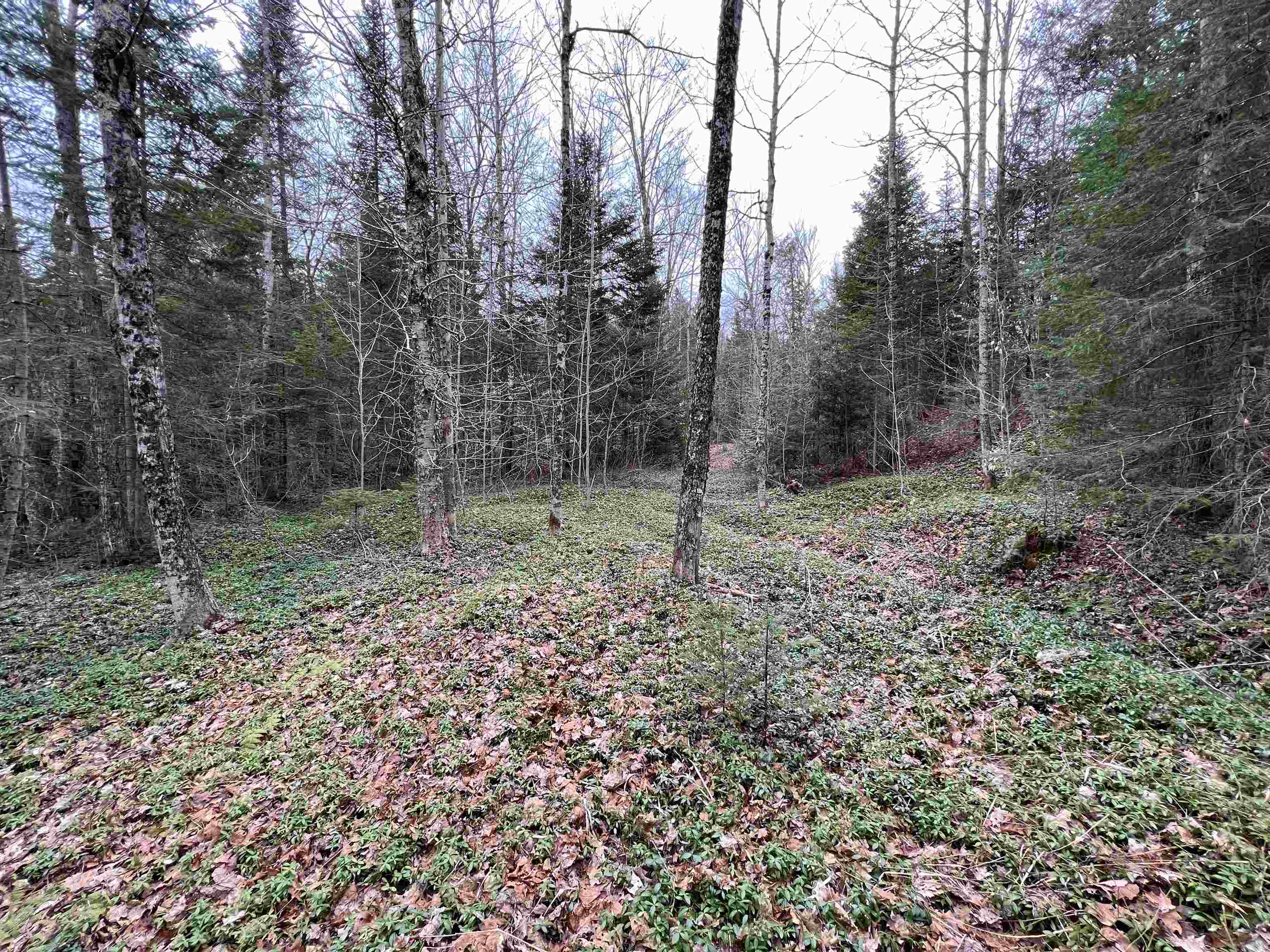 0 Cabot Road, Unit 1 Hardwick, VT 05843 - Photo 15 of 22