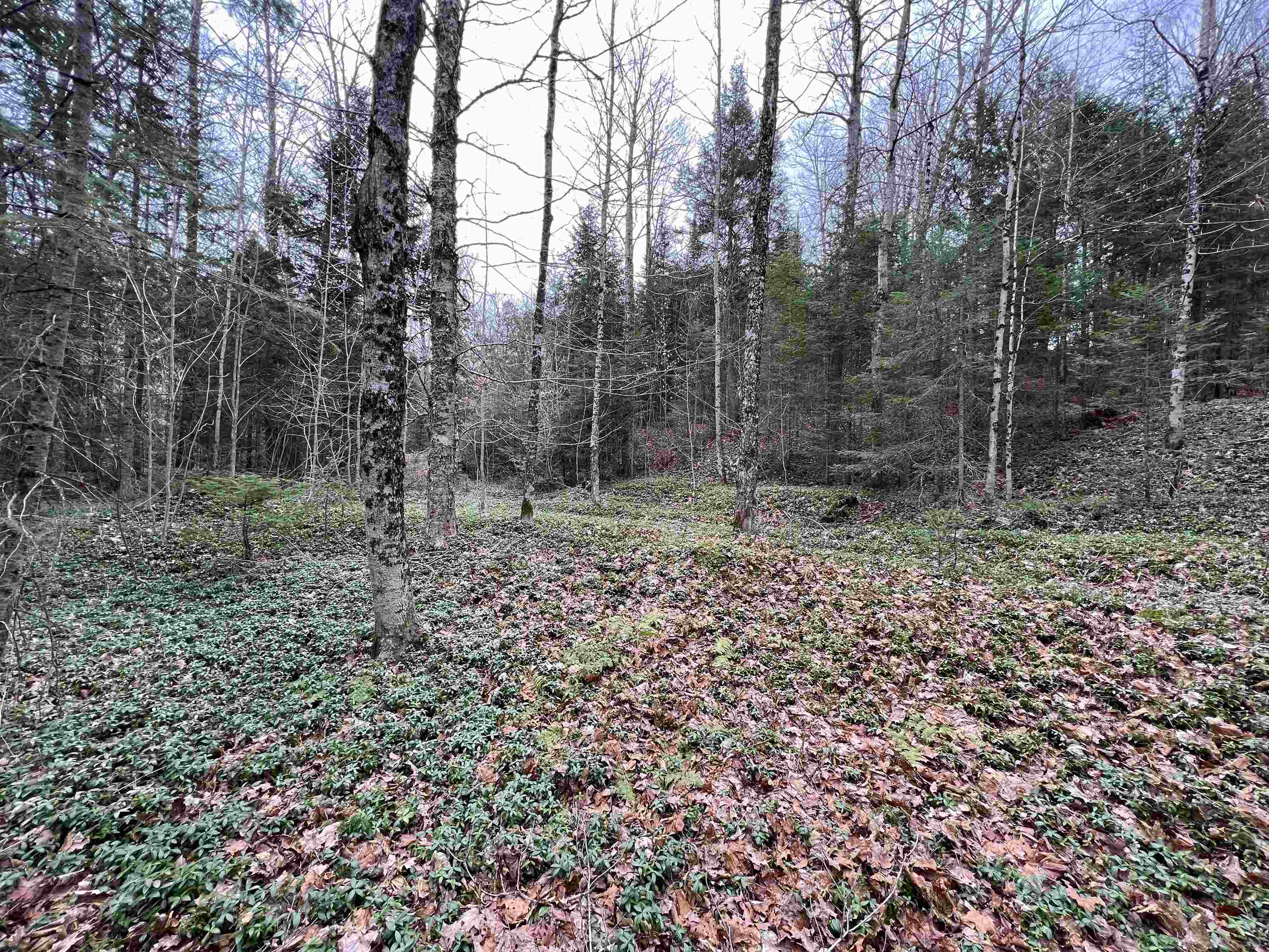 0 Cabot Road, Unit 1 Hardwick, VT 05843 - Photo 18 of 22