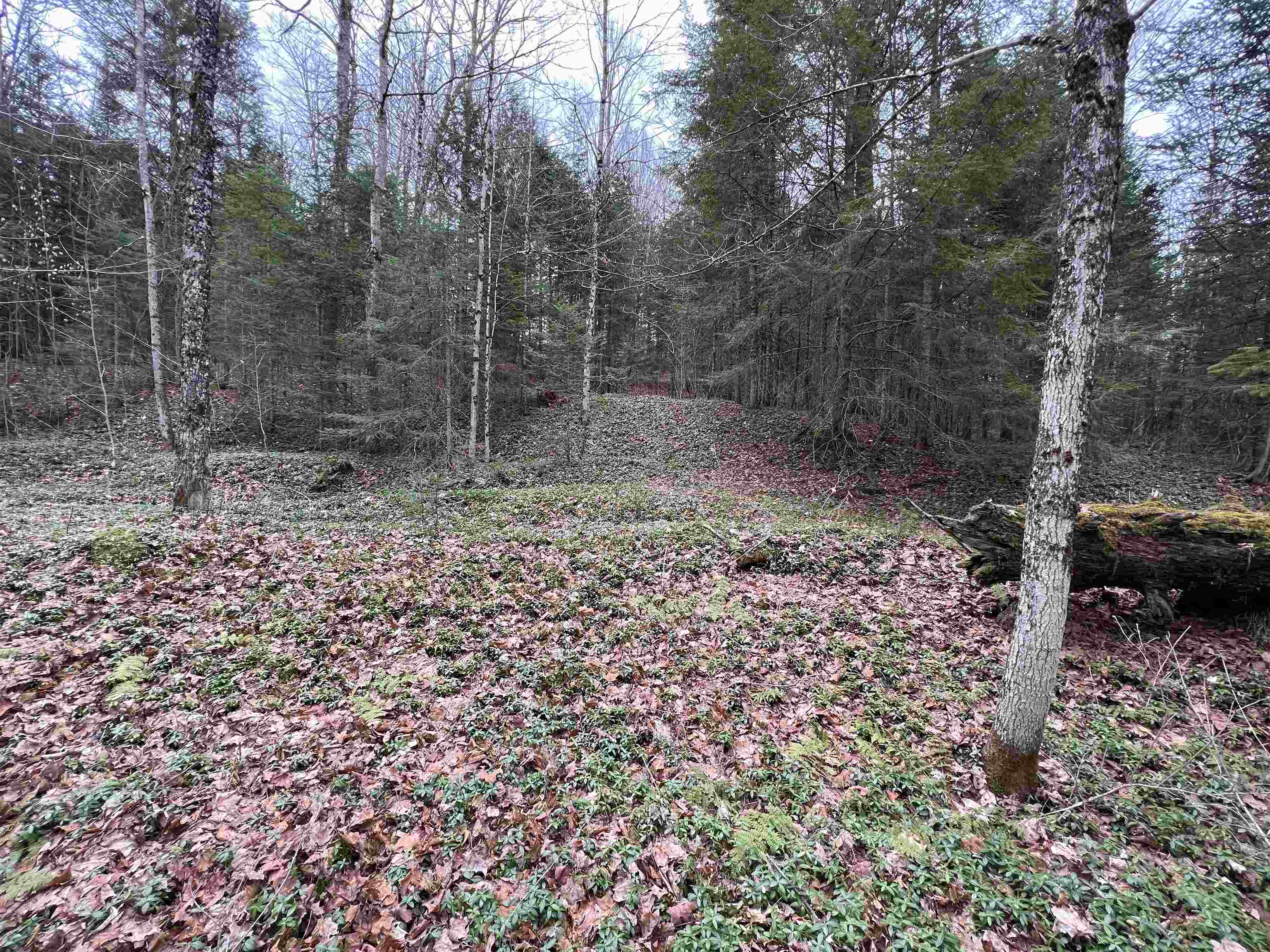 0 Cabot Road, Unit 1 Hardwick, VT 05843 - Photo 19 of 22