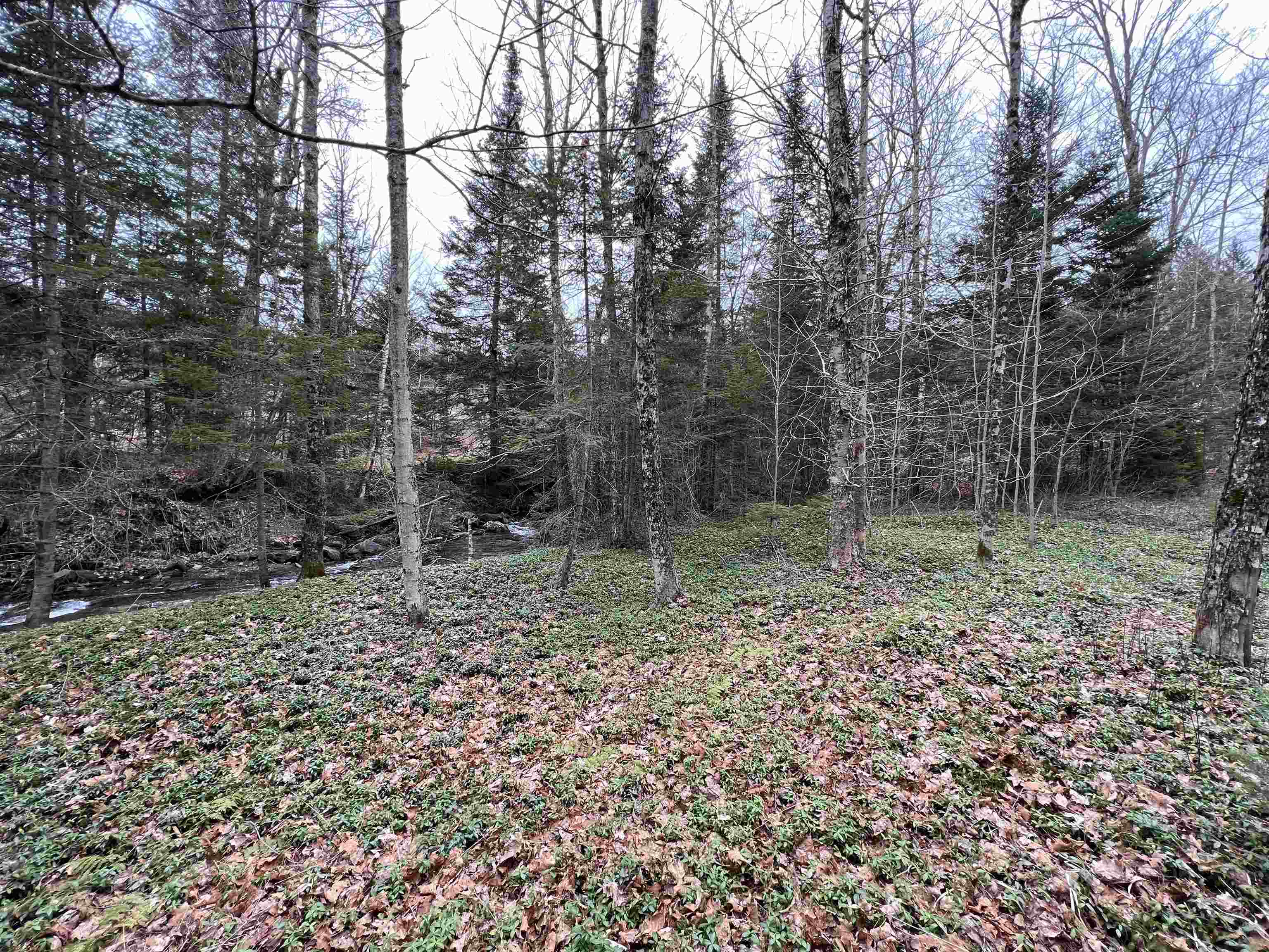 0 Cabot Road, Unit 1 Hardwick, VT 05843 - Photo 2 of 22