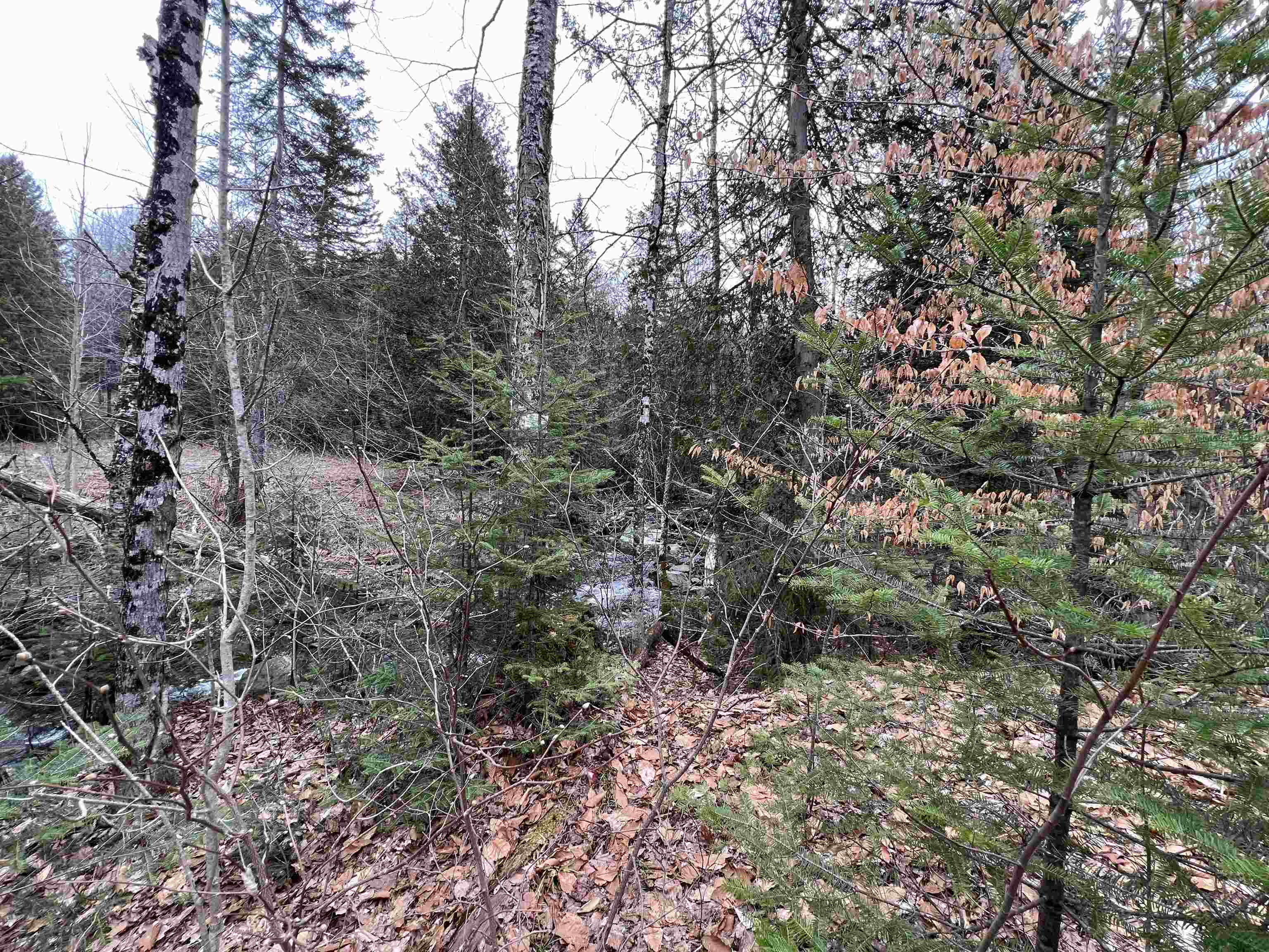0 Cabot Road, Unit 1 Hardwick, VT 05843 - Photo 21 of 22