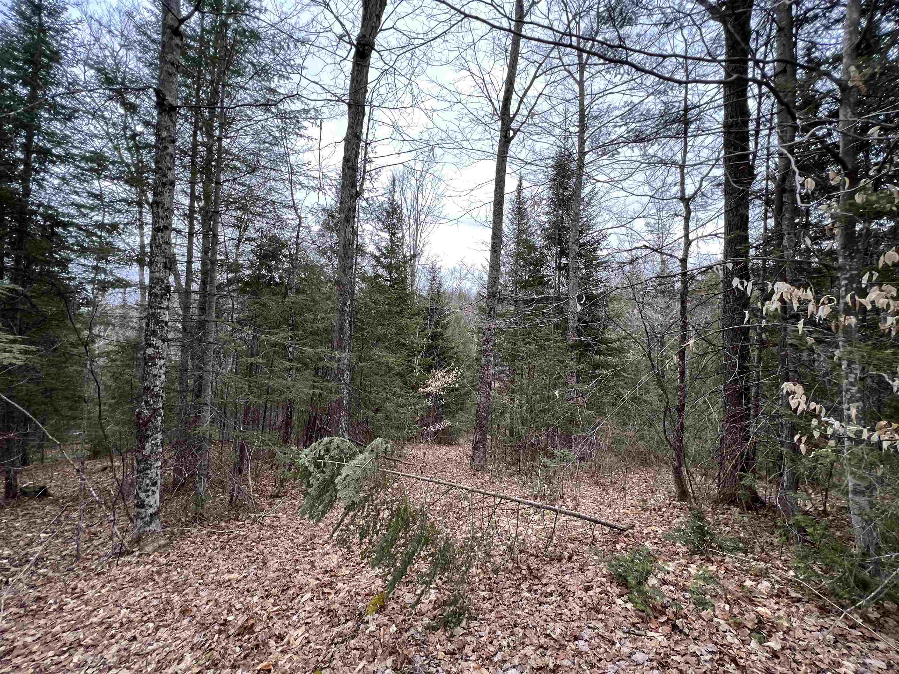 0 Cabot Road, Unit 1 Hardwick, VT 05843 - Photo 22 of 22