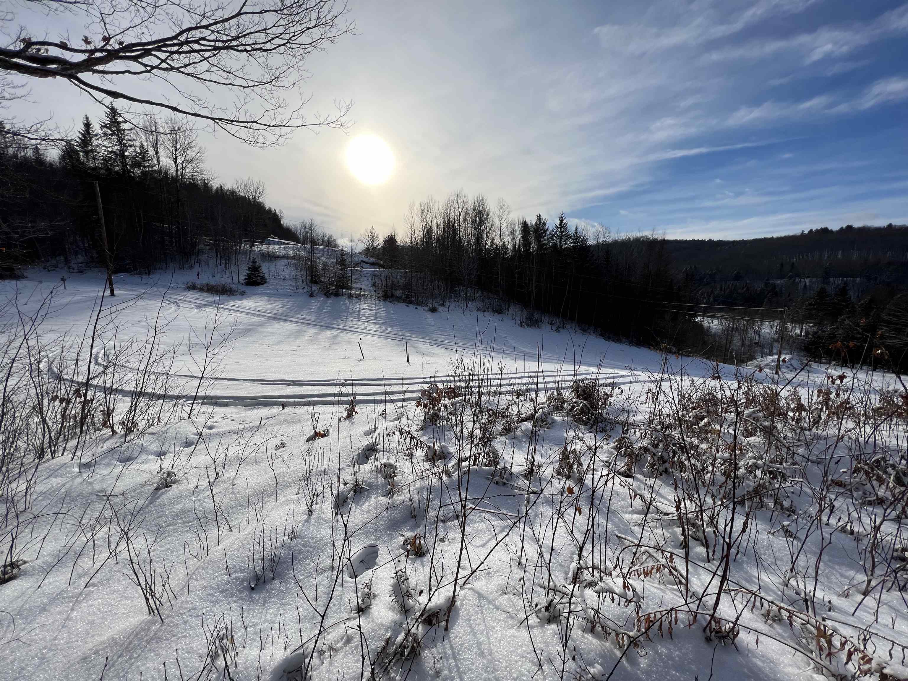0 Cabot Road, Unit 1 Hardwick, VT 05843 - Photo 3 of 22
