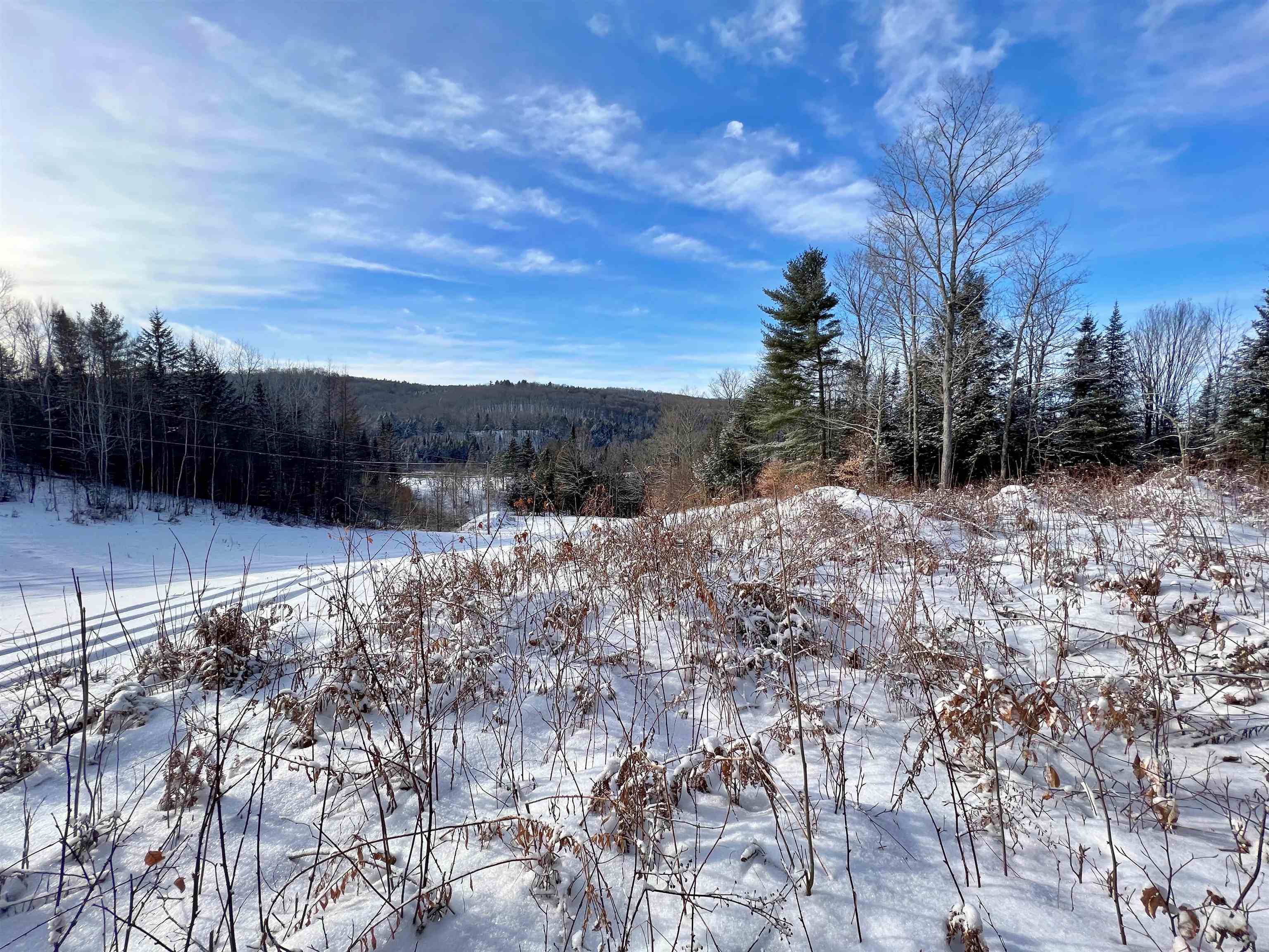 0 Cabot Road, Unit 1 Hardwick, VT 05843 - Photo 5 of 22