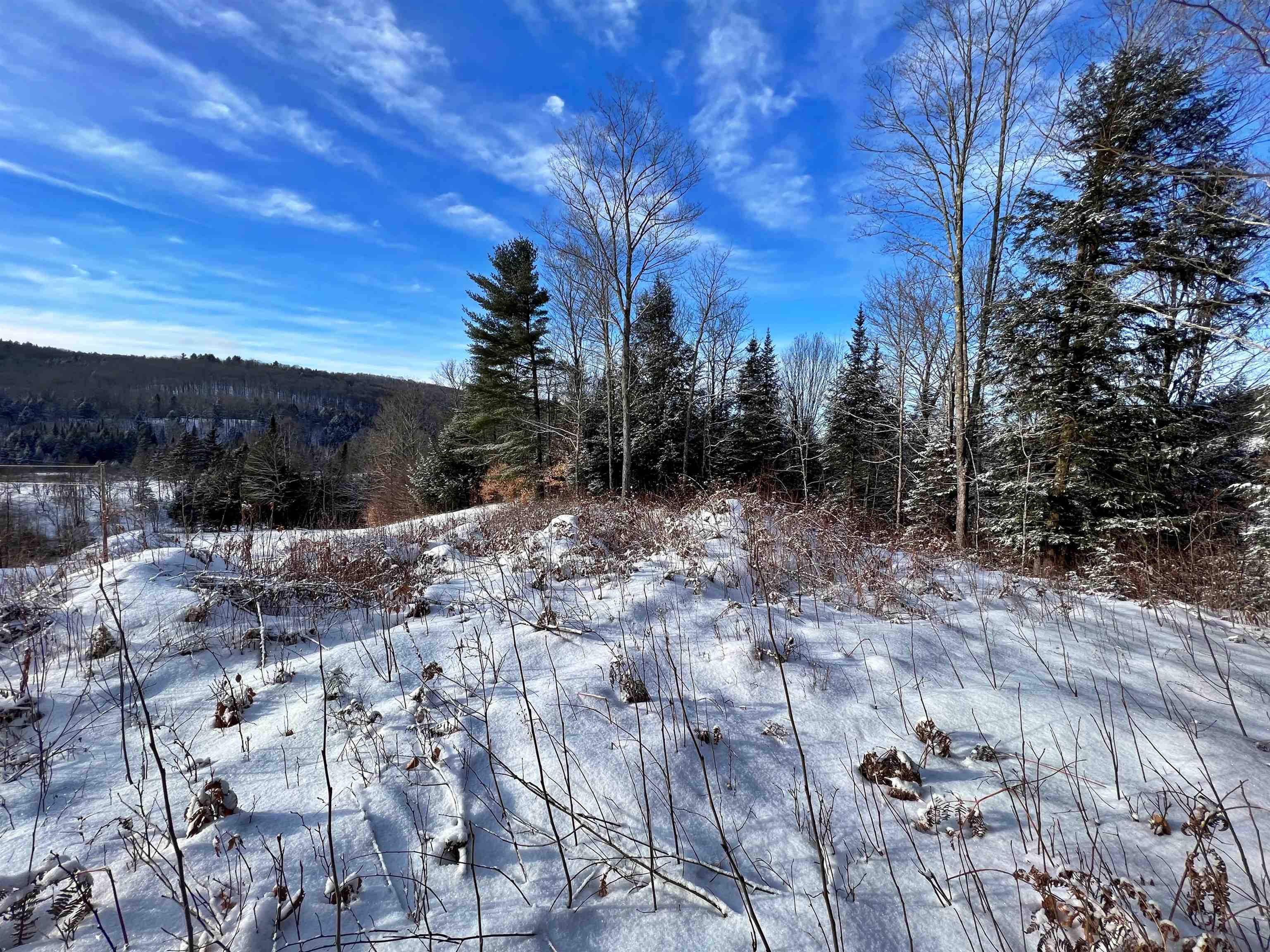 0 Cabot Road, Unit 1 Hardwick, VT 05843 - Photo 6 of 22