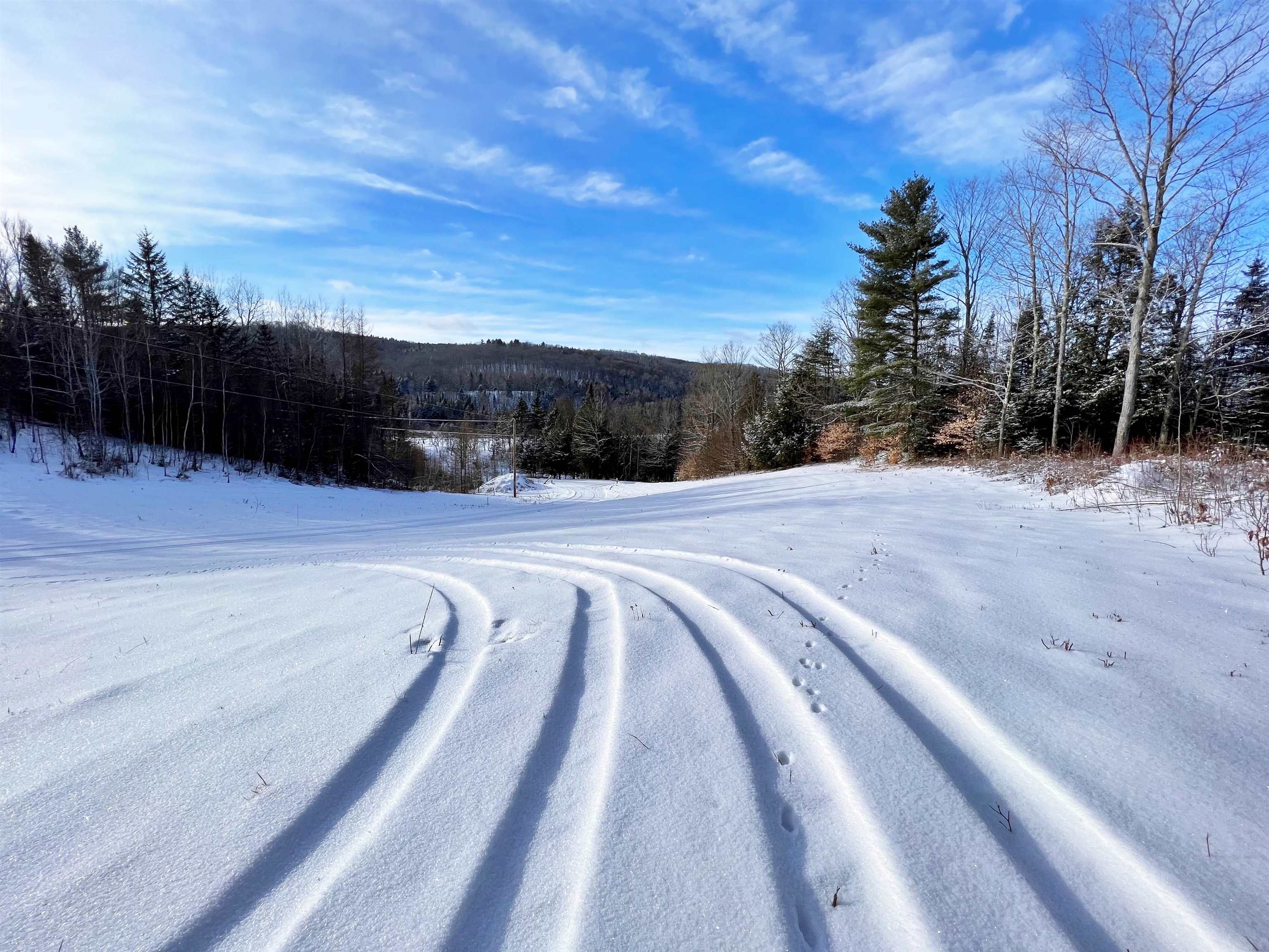 0 Cabot Road, Unit 1 Hardwick, VT 05843 - Photo 8 of 22