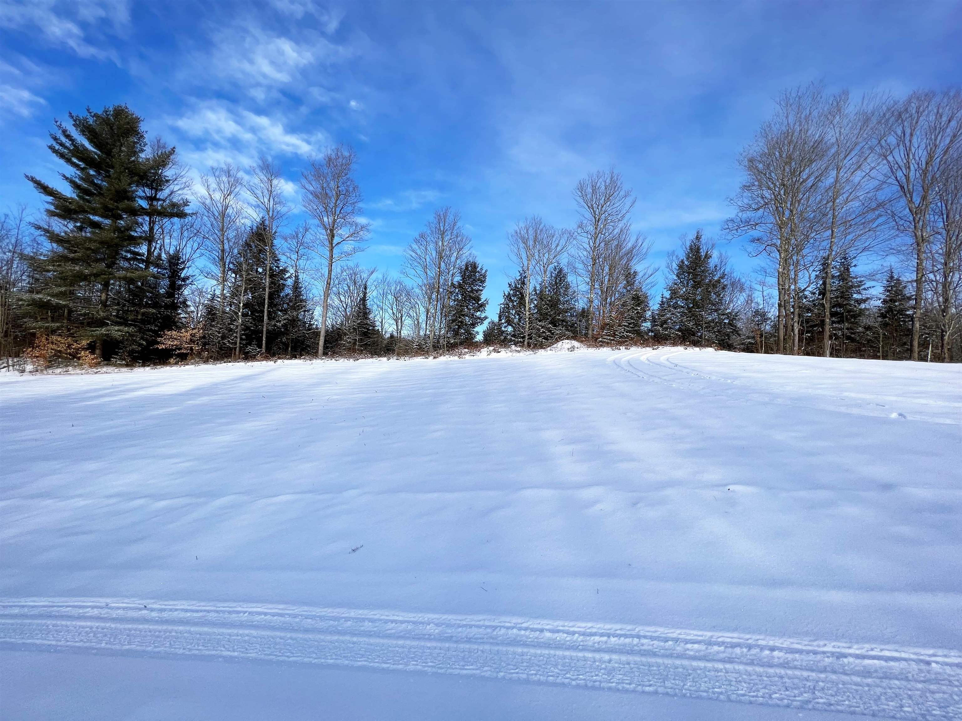 0 Cabot Road, Unit 1 Hardwick, VT 05843 - Photo 9 of 22