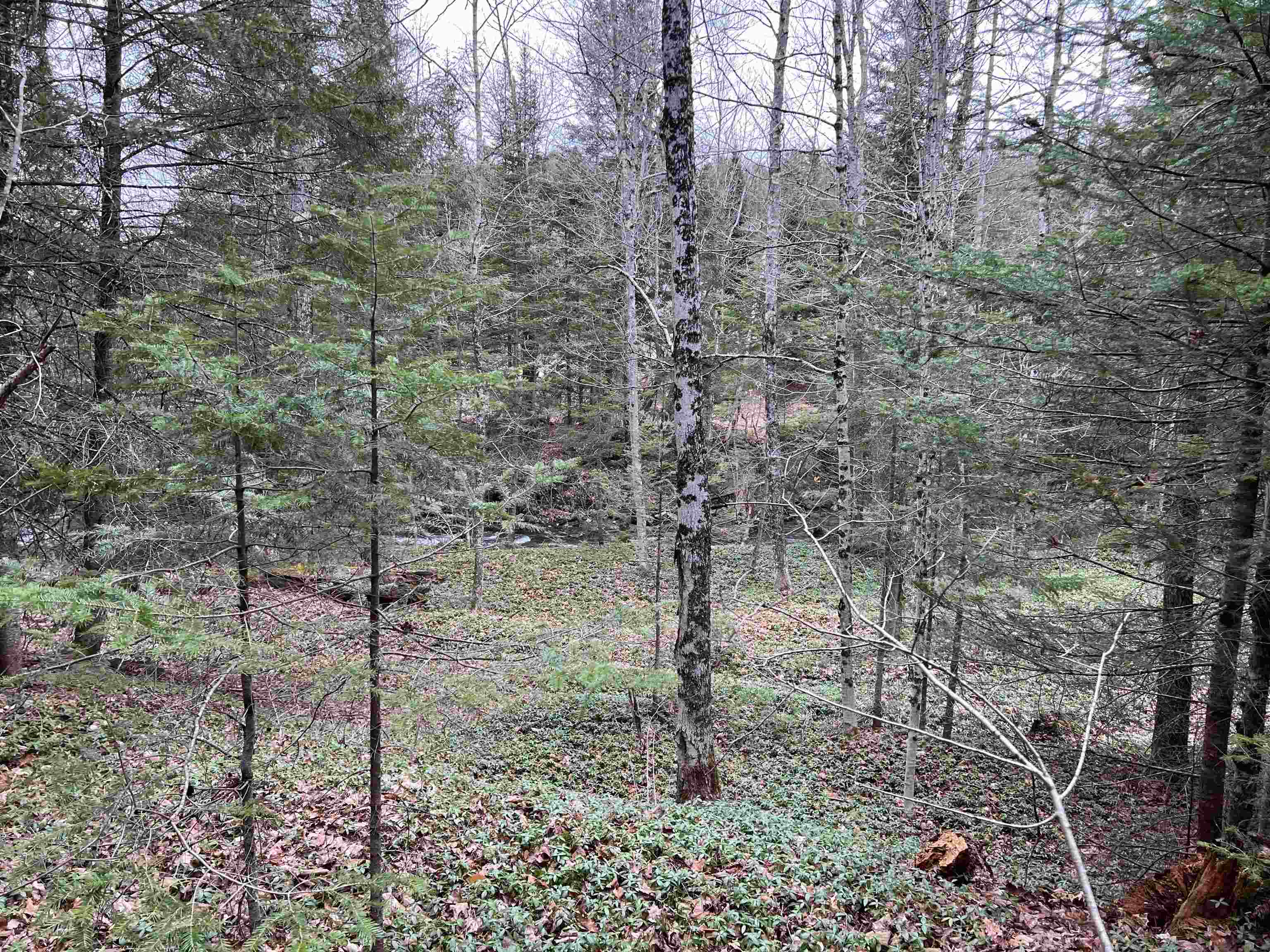 0 Cabot Road, Unit 1 Hardwick, VT 05843 - Photo 10 of 22