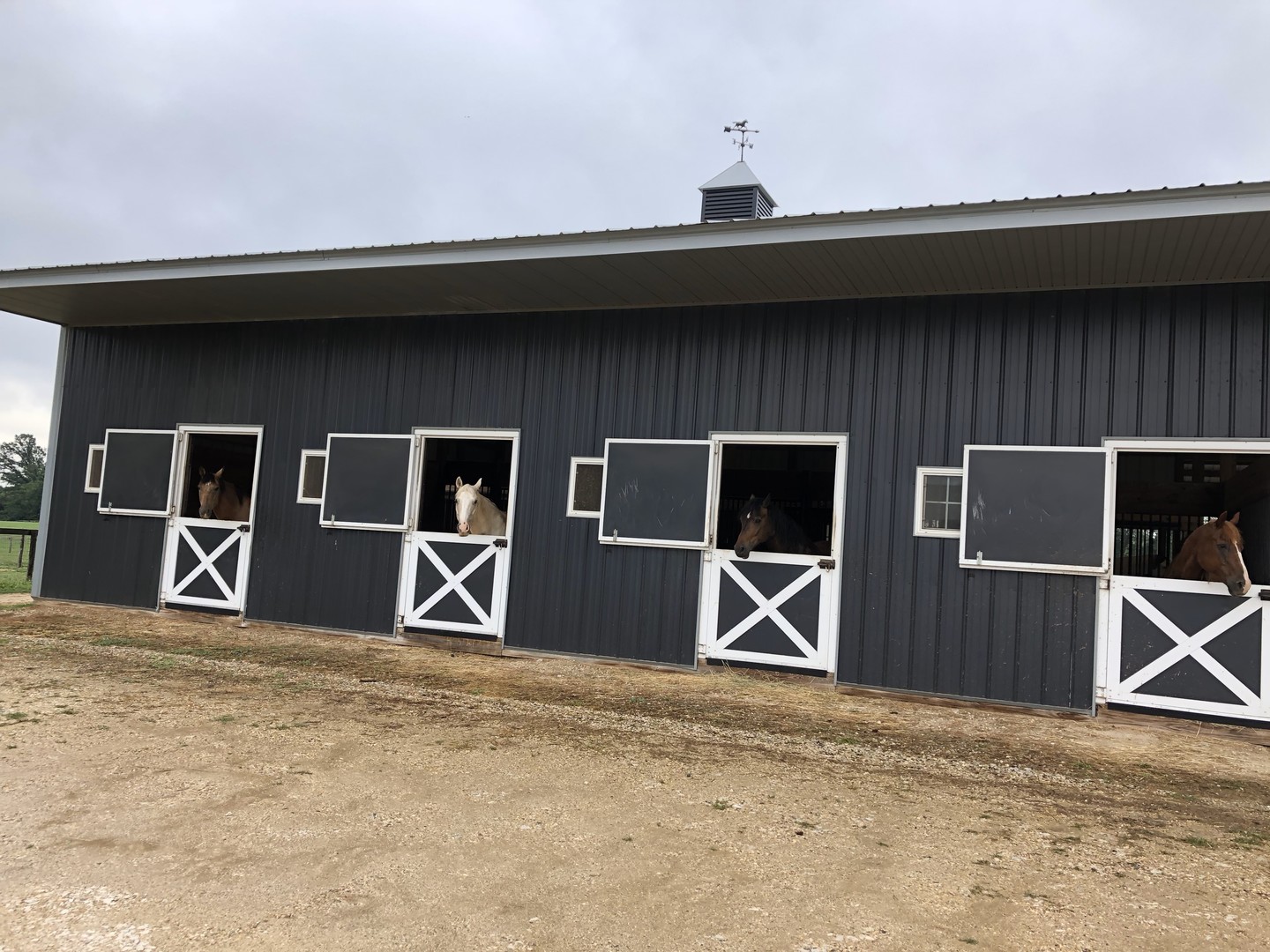 8206 Bull Valley Road Bull Valley, IL 60098 - Photo 15 of 56 a front view of a house with large windows