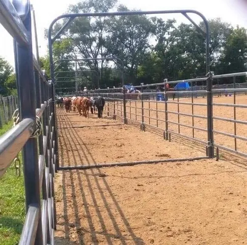 a view of a lake from a yard