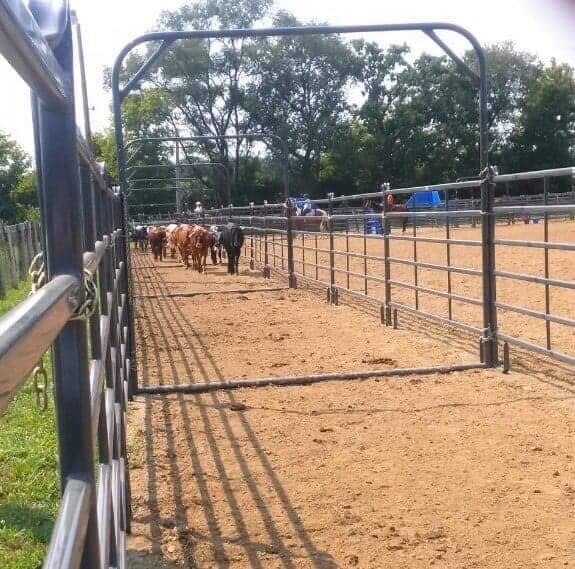 8206 Bull Valley Road Bull Valley, IL 60098 - Photo 25 of 56 a view of a swimming pool with a patio