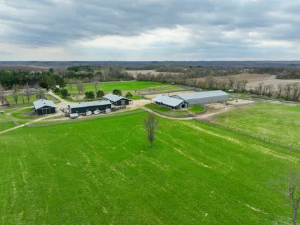 a view of a lake with lawn chairs and large trees