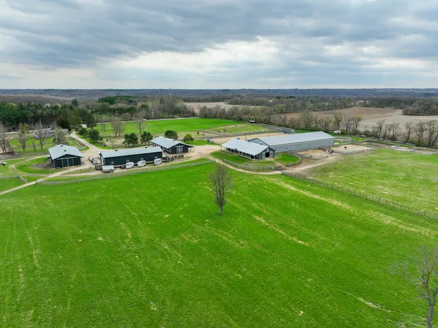 a view of a lake with lawn chairs and large trees