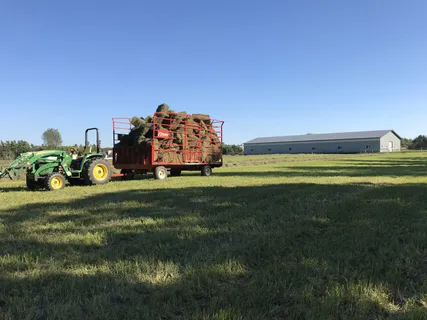 a view of a wooden fence