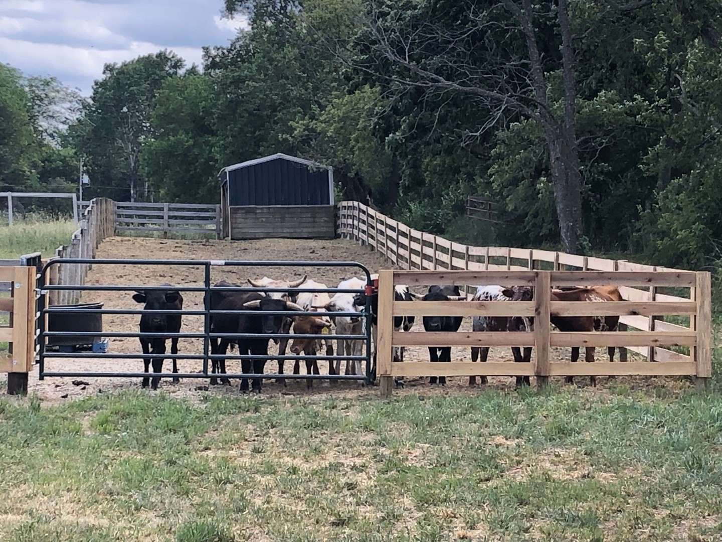 8206 Bull Valley Road Bull Valley, IL 60098 - Photo 33 of 56 a view of a house with a yard