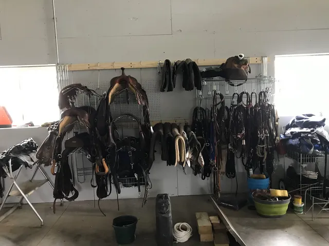 a living room with furniture a dining table and a chandelier