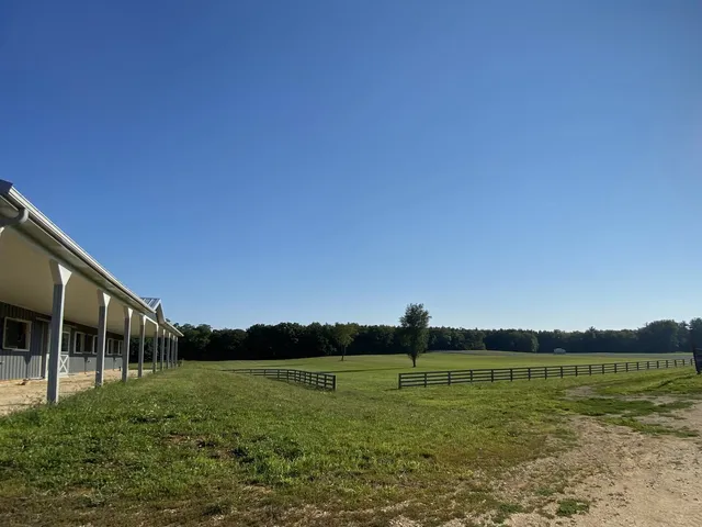 a view of a house with a big yard and large tree