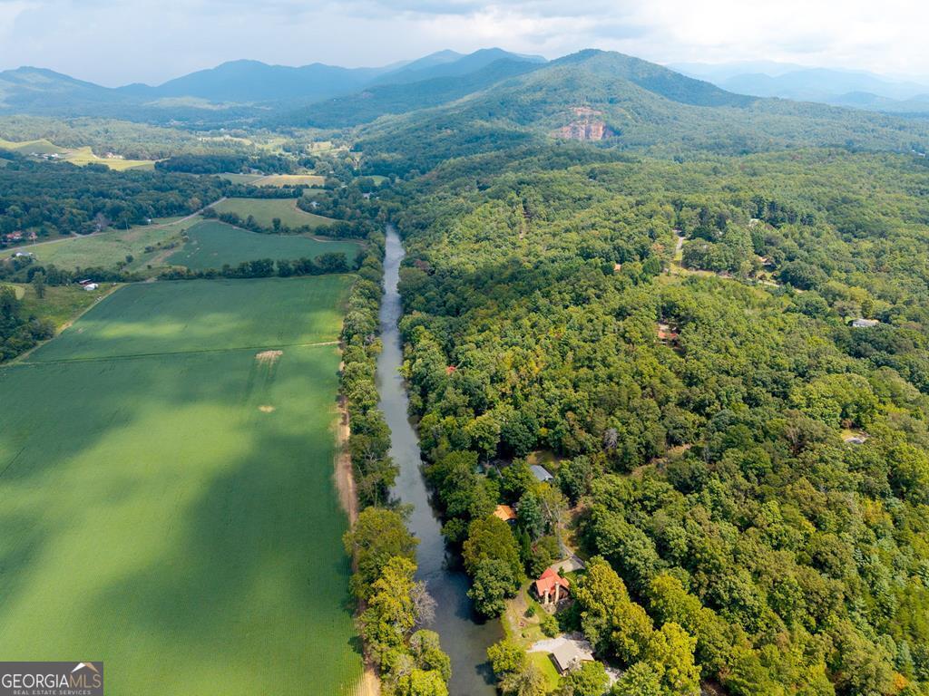 270 Hiawassee River Road Murphy, NC 28906 - Photo 50 of 50 a view of a lush green forest with trees and houses
