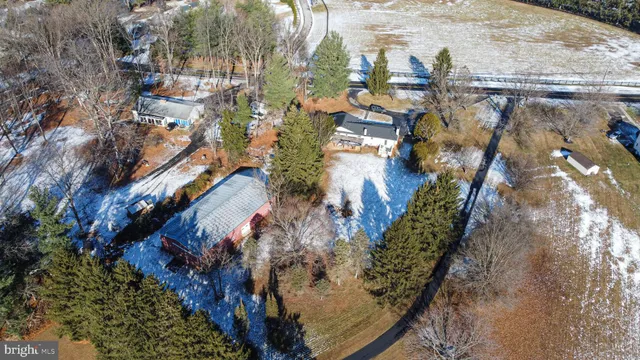 a aerial view of a house with a yard and large trees