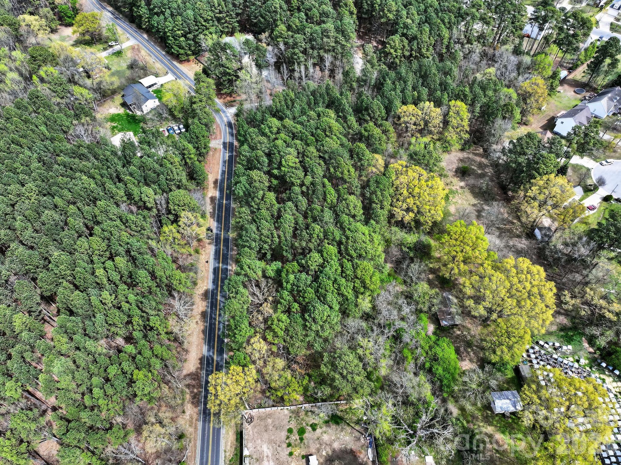1535 Ruritan Road Durham, NC 27703 - Photo 4 of 10 a view of a forest with a tree