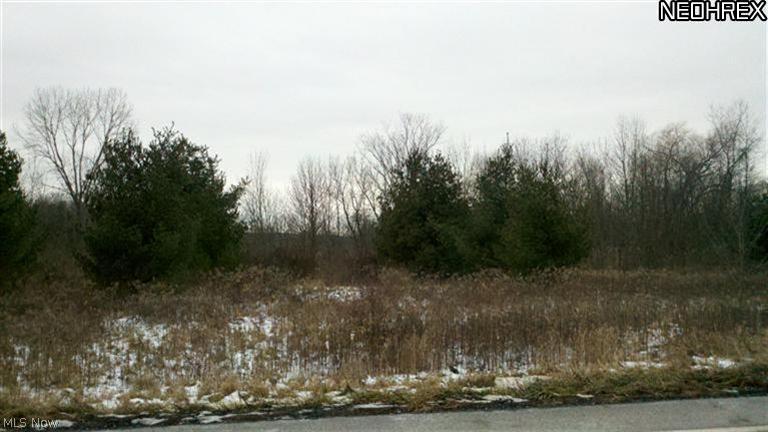 8248 Avon Lake Road Lodi, OH 44254 - Photo 4 of 4 Gallery Image 4