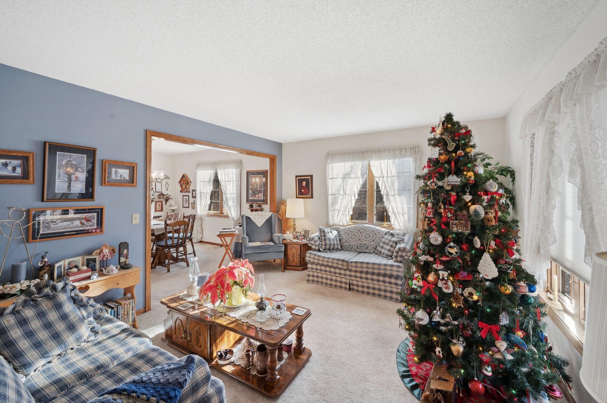 6238 Baldwin Lake Road Circle Pines, MN 55014 - Photo 12 of 38