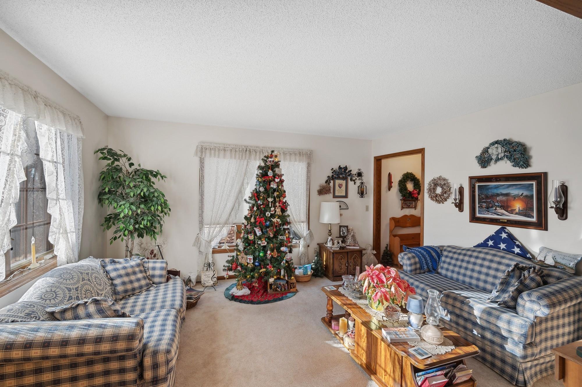 6238 Baldwin Lake Road Circle Pines, MN 55014 - Photo 14 of 38